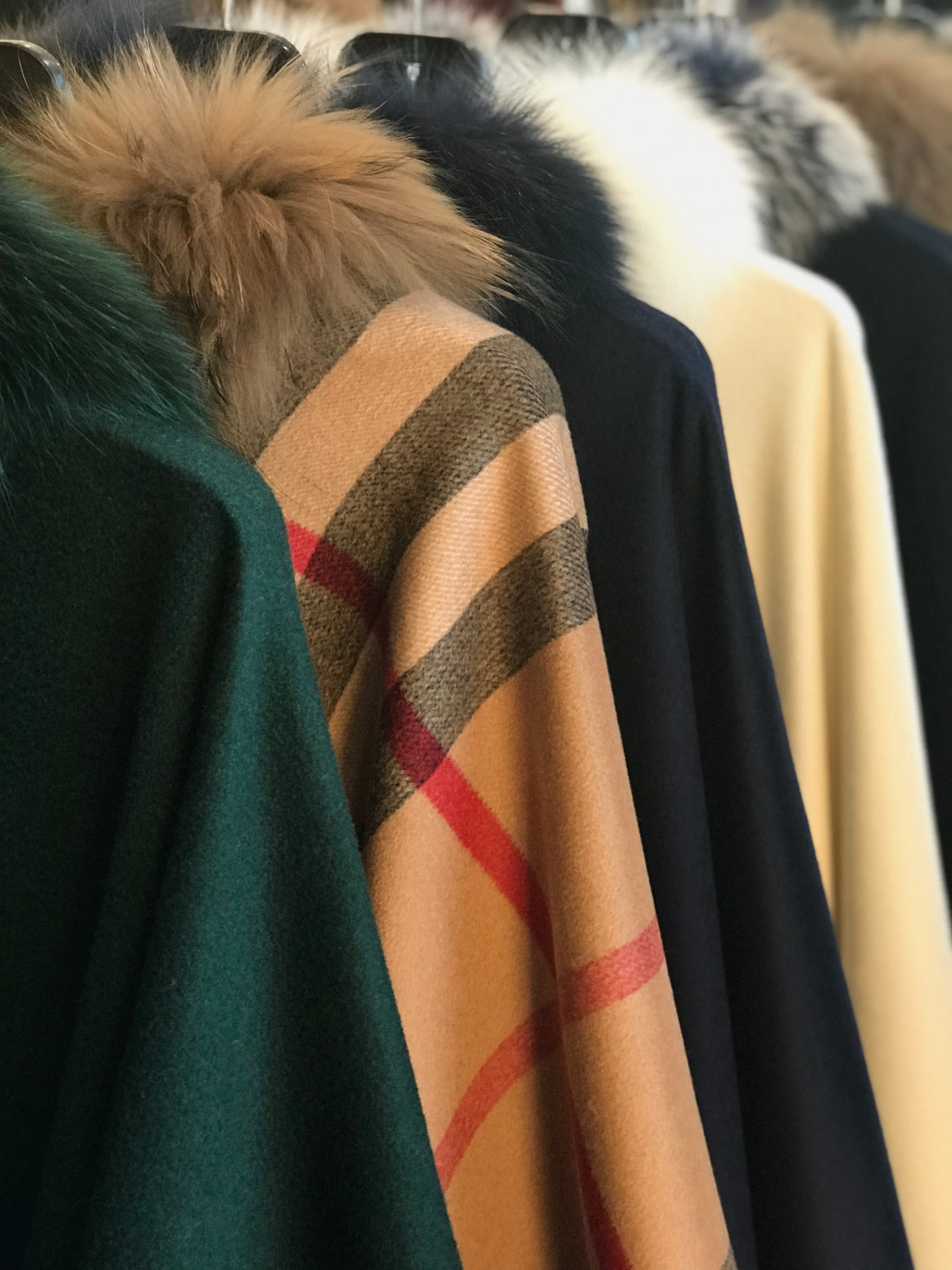 Clothes Moths in the Fur Closet? The Do’s and Don’ts